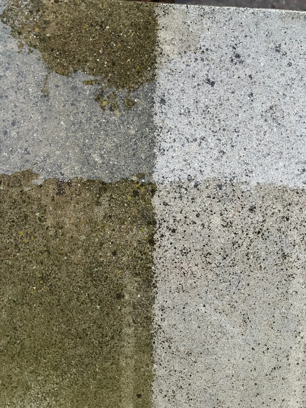 Close-up comparison of mossy concrete next to freshly pressure-washed concrete