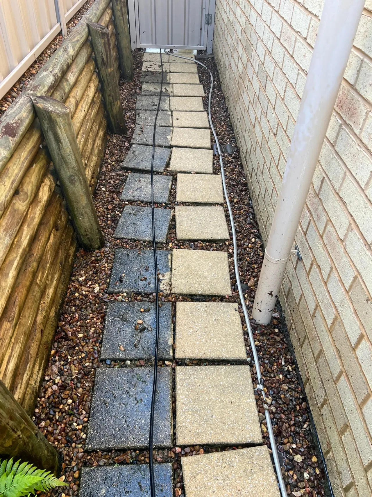 Paver path mid-clean showing the dramatic before and after