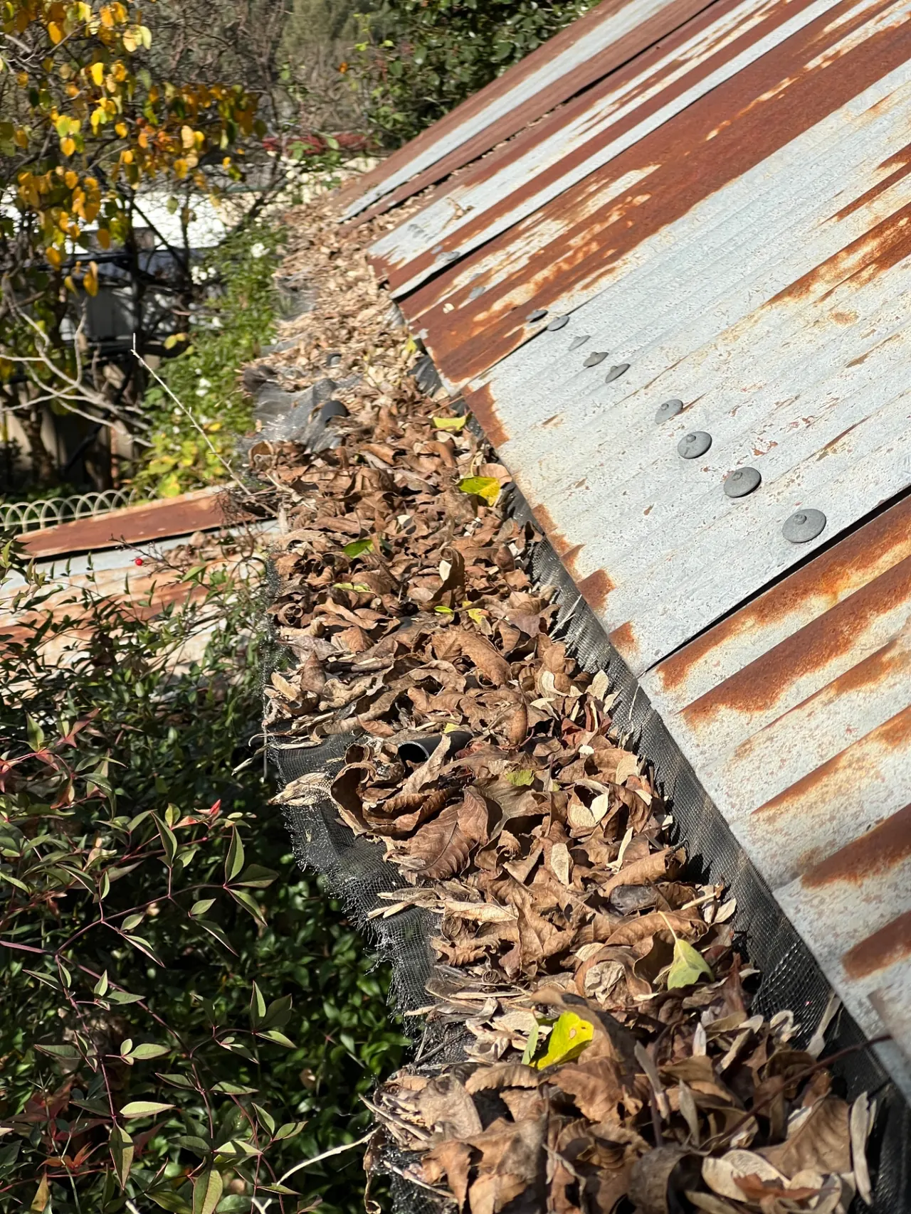 Gutter cleaning — heavy leaf build-up along a corrugated roof gutter