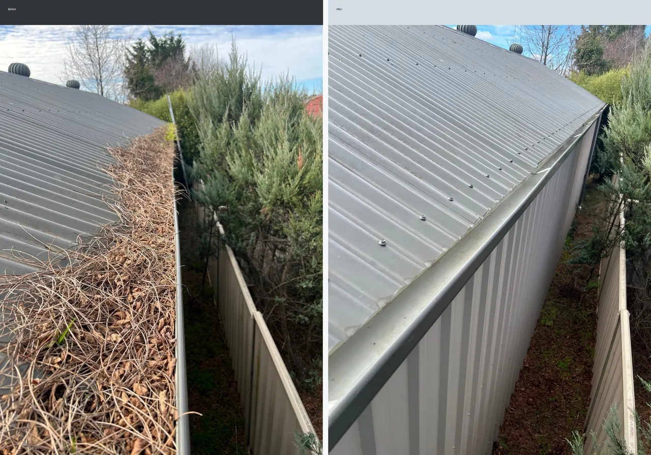 Before and after wide view of a long roof gutter cleaned from heavy leaf build-up