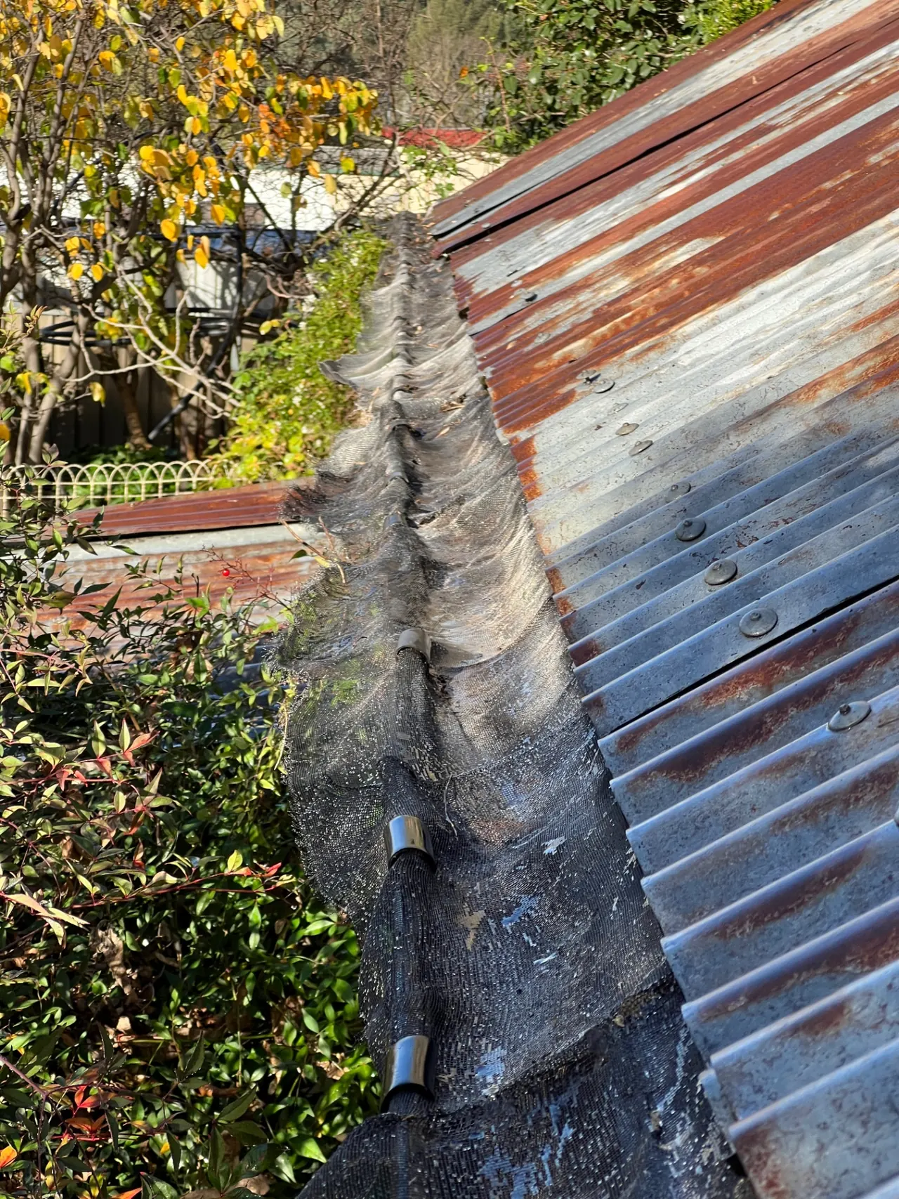 Gutter cleaning after — corrugated roof gutter cleared and flowing